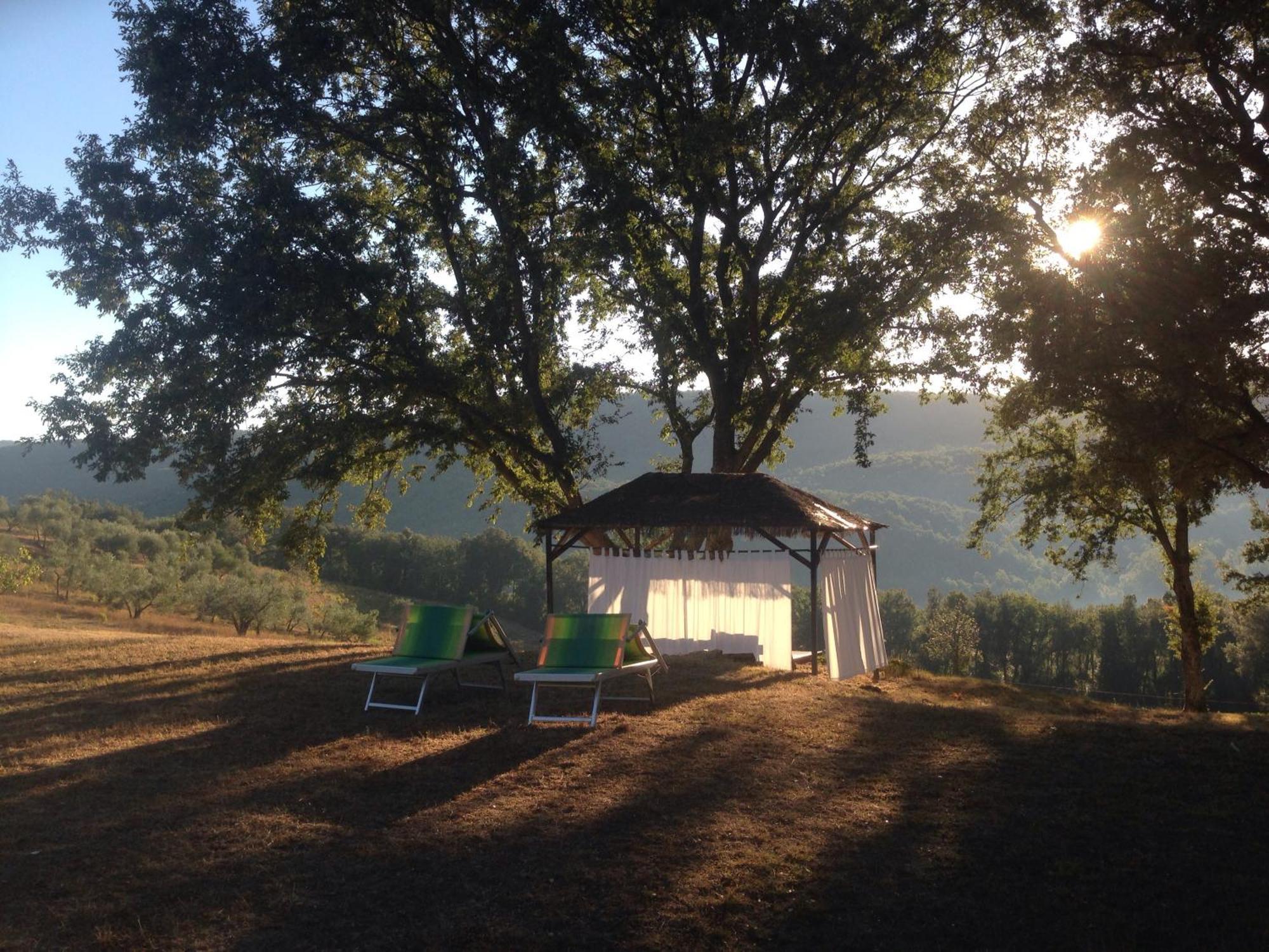 Agriturismo Colle Donatucci Guest House Кастането Кардучи Екстериор снимка